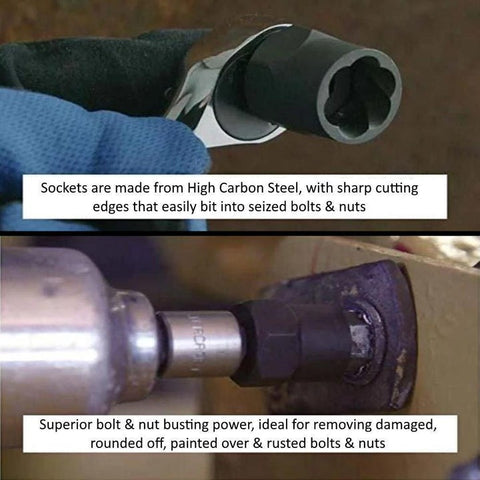 Image of Nut Extractor