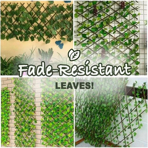 Image of Retractable Privacy Garden Fence