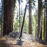 Image of Stealth Angel 15-in-1 Heavy-Duty Multi-Function Folding Shovel (Black)