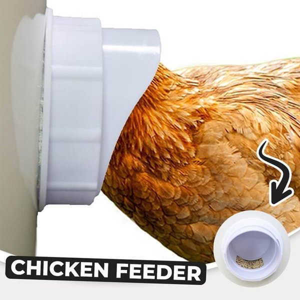 DIY Chicken Feeder (🔥promotion Only Today!)