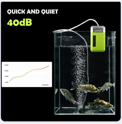 Image of 🌟Memorial Day Sale-34% OFF🐠Portable Fishing Tap