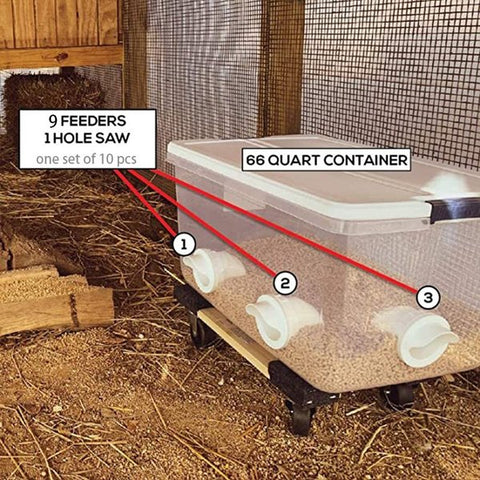 Image of DIY Chicken Feeder (🔥promotion Only Today!)